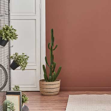 Mur terracotta et porte claire dans un intérieur